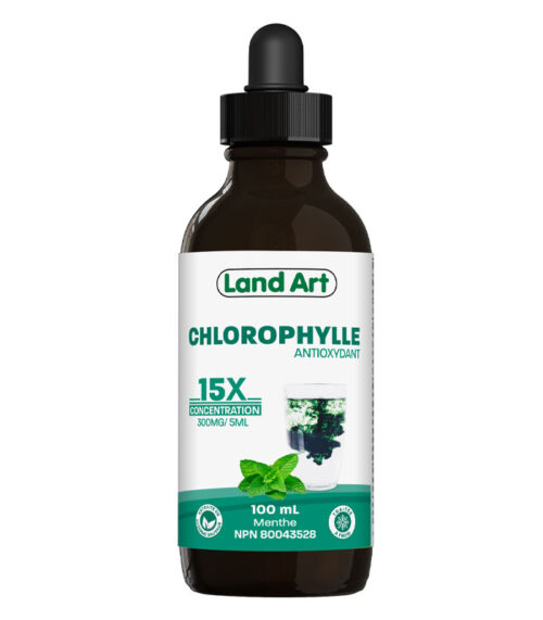 LandArt Chlorophylle 15x saveur de menthe 100mL