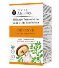 defense soutien immunitaire kefir kombucha