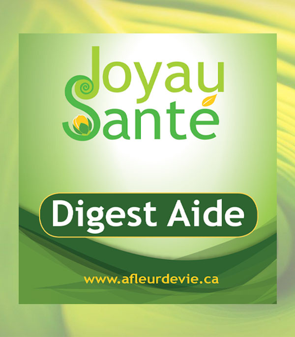 Joyau Santé Tisane Digest Aide 100g