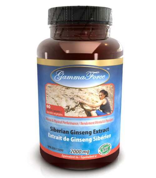 ginseng siberien