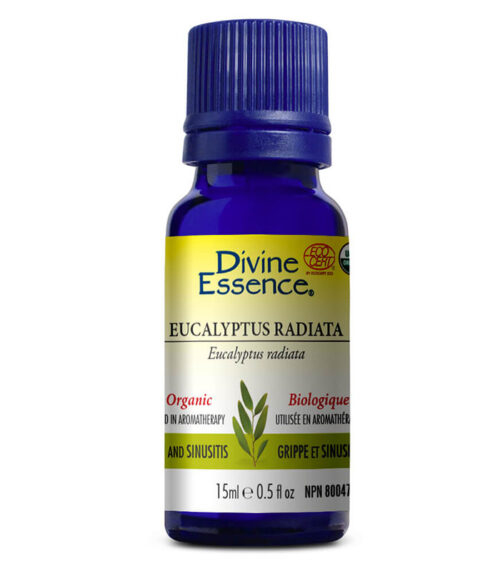 huile essentielle eucalyptus radiata biologique divine essence