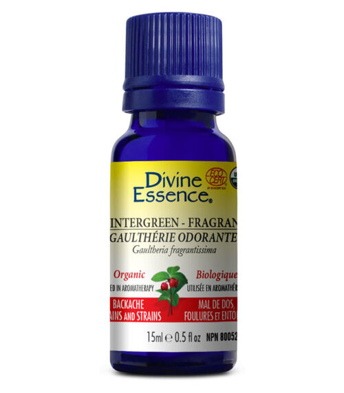 huile essentielle gaultherie odorante biologique divine essence