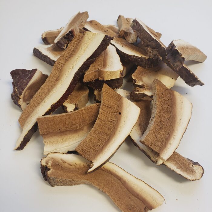 reishi bio coupé