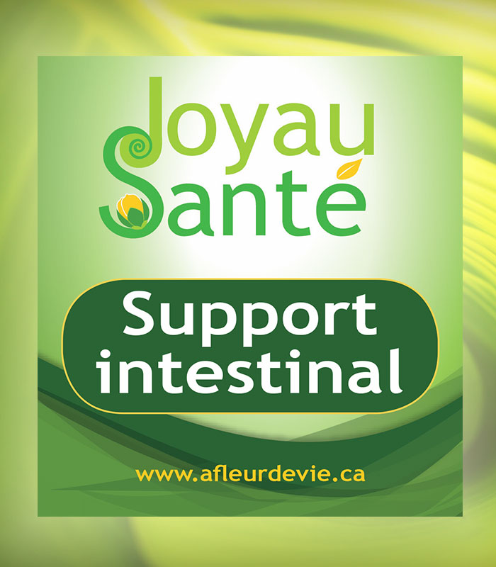 support intestinal joyau sante