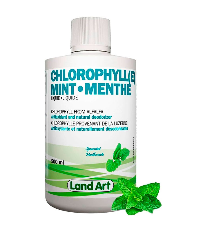 Land Art - Chlorophylle saveur de menthe 500ml